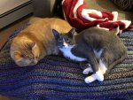 IMG_0283.JPG