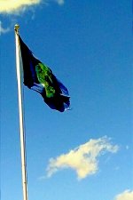 IMG_20220726_215739.jpg