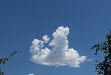 IMG_7956.jpeg