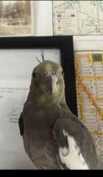 IMG_8376.jpeg