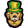 The Irish One