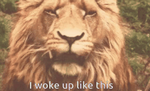 roar-lion.gif