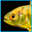 ncfishes.com