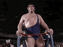 Andre The Giant Sport GIF by WWE