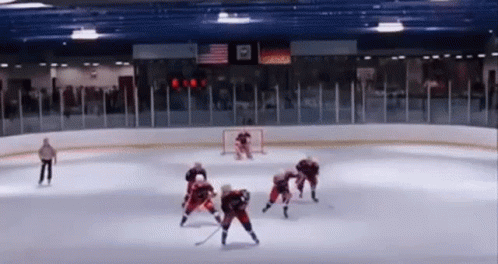 mighty-ducks.gif