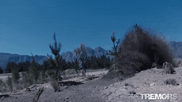 200.gif
