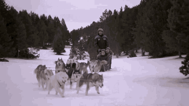 coolhunters-tv3.gif