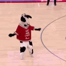 mascots-fight.gif