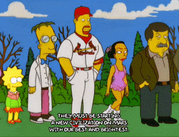 homer simpson baseball GIF