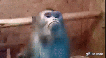 No Way Reaction GIF