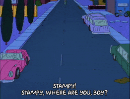 season 5 GIF
