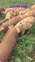 200.gif