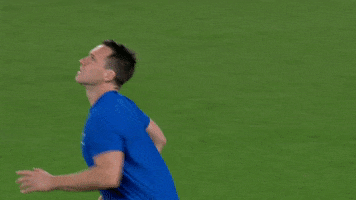 Catch Searching GIF by Rugby World Cup