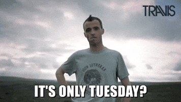 Fran Healy Tuesday GIF by Travis