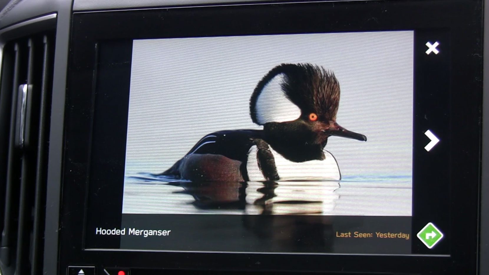 www.allaboutbirds.org