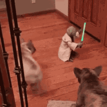 yoda-toy.gif