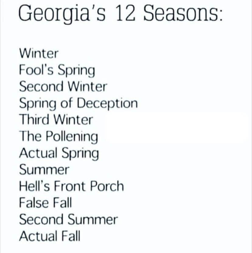 Georgias-12-Seasons.jpeg