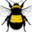 beecityusa.org