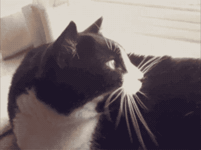 b5f4e6c56794f01c0881be0848406a48.gif