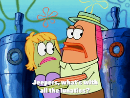 season 4 episode 13 GIF by SpongeBob SquarePants