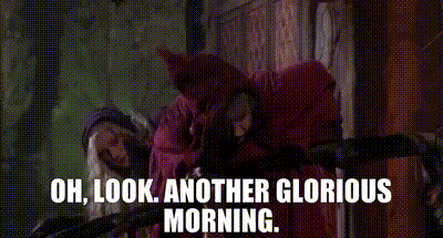 40920615-5856-4e3f-9488-adb0cd288364_text.gif