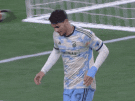 Philadelphia Union Mls GIF by Major League Soccer