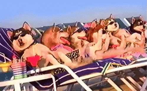 sunbathing.gif