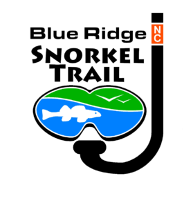 ncfishes.com