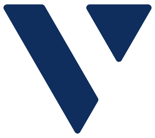 businessviewmagazine.com