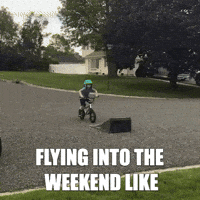 Friday Reaction GIF by MOODMAN