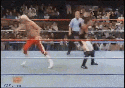 wwe-fail.gif