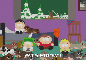 eric cartman window GIF by South Park 