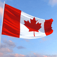 Canadian Celebration GIF by Pi-Slices Canadian Celebration GIF by Pi-Slices