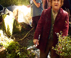 middle fingers GIF middle fingers GIF